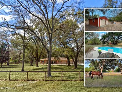 4141 SADDLEHORN Trail, Middleburg, FL, 32068