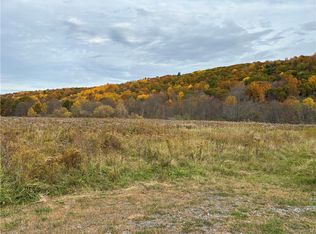 0 Conesus Springwater Rd #36, Conesus, NY 14435