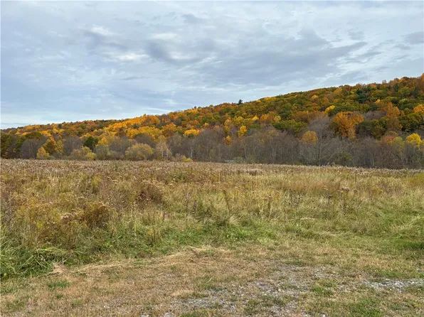 0 Conesus Springwater Rd #36, Conesus, NY 14435
