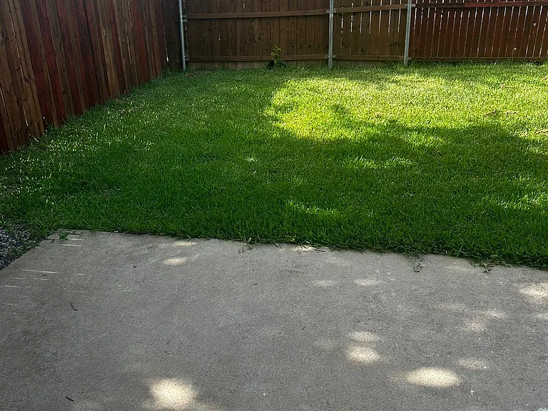12637 Black Cherry Ln — Photo 23