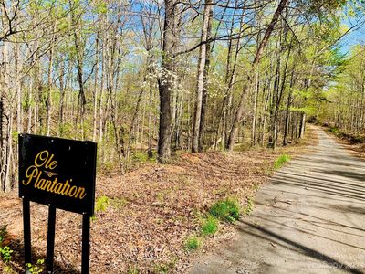 LOT 36 Shady Bark Ln Lot 36, Rutherfordton, NC, 28139