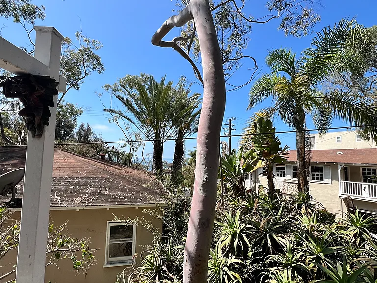 2200 S Coast Hwy #F — Photo 17
