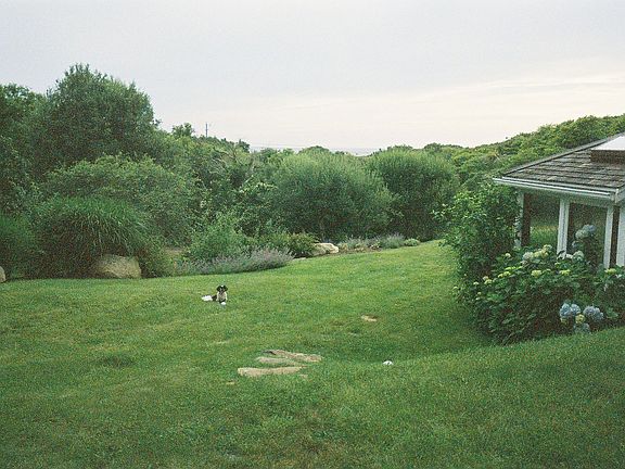 the lawn