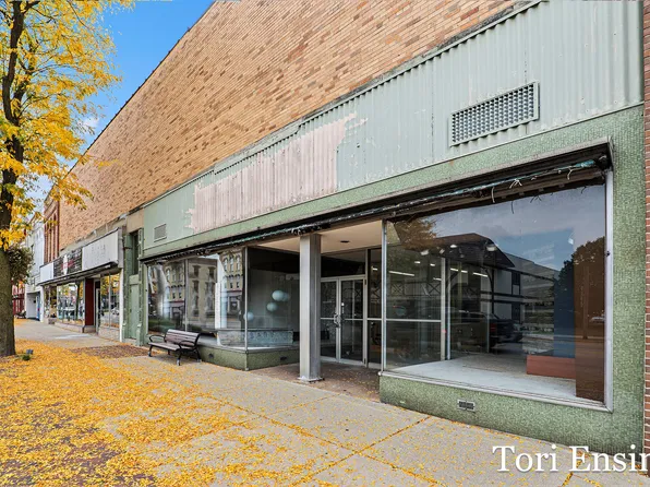 314 S Lafayette St, Greenville, MI 48838