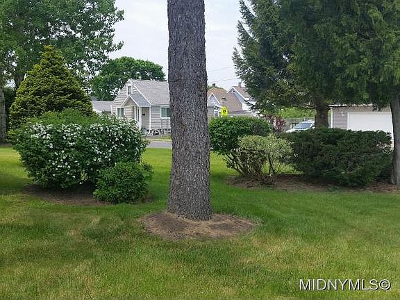 3rd image of 1102 Tilden Ave