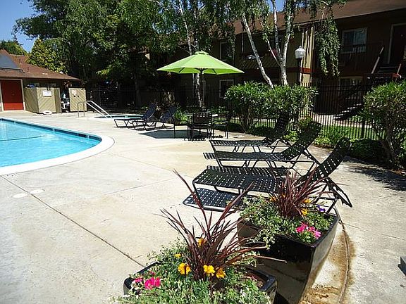 Pool/Lounge Area