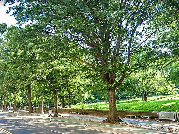 4th image of 475 Central Park W APT 4A