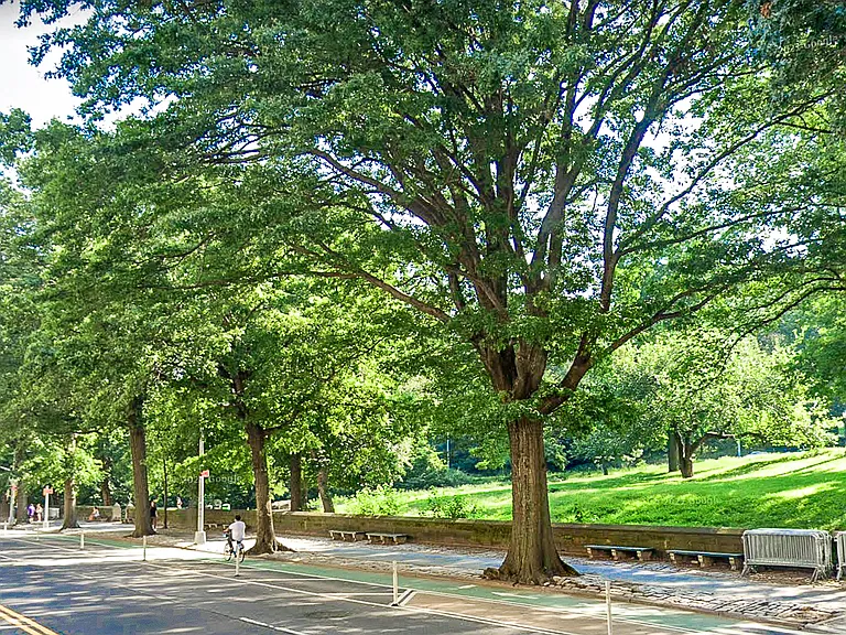 472 Central Park W #2B — Photo 5