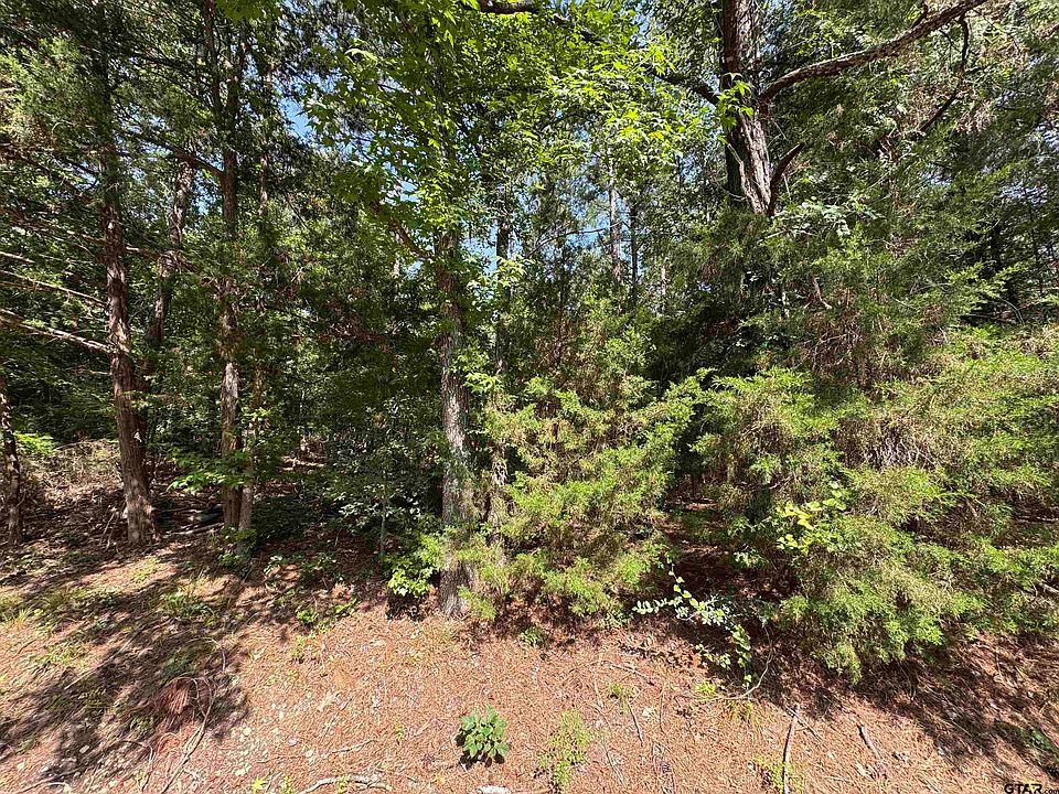1st image of 19 Whispering Pine Trl S
