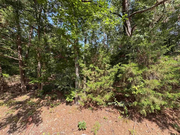 20 Whispering Pine Trl S, Mount Vernon, TX 75457