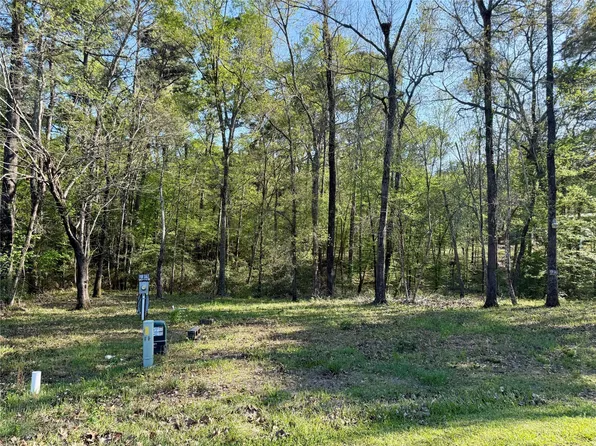 Leaning Oak Dr Lot 190 & 191, Pointblank, TX 77364