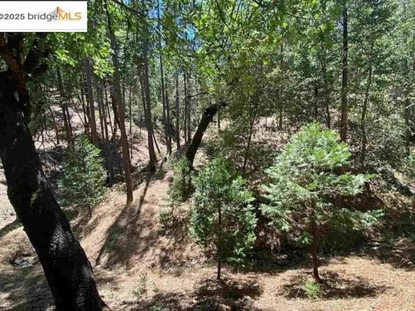 12000 Trapper Ct, Groveland, CA 95321