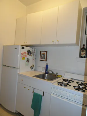 Rented by Manhattan Flats | media 18