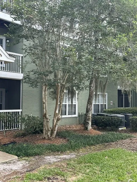 1 bed, 633 sqft, $1,200 — Photo 2