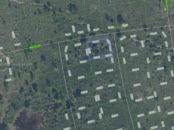 4739 Obispo Ave, Sebring, FL 33872
