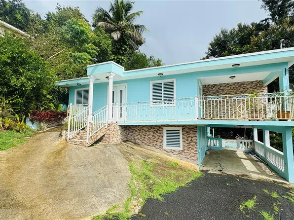 1 Carr #156, Comerio, PR 00782