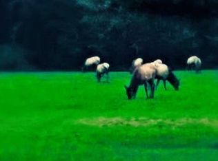 399 McCormick Gardens Rd, Seaside, OR 97138