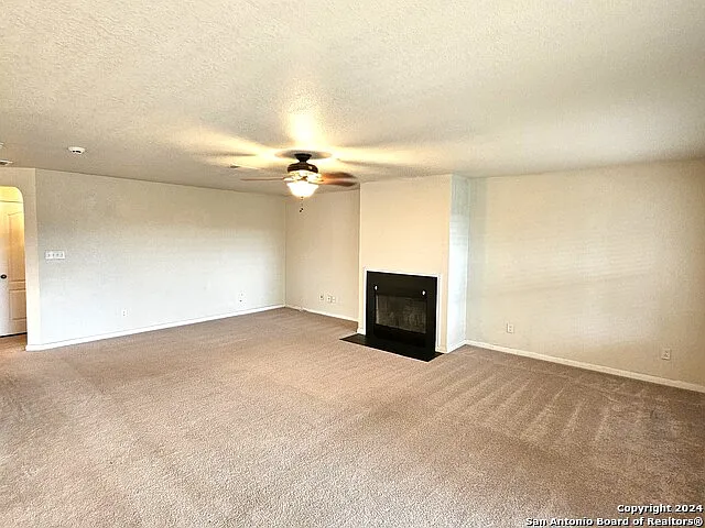 208 Springtree Cv — Photo 12