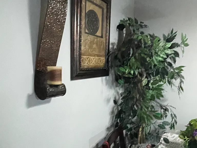 1225 Carriage Cir #104 — Photo 20