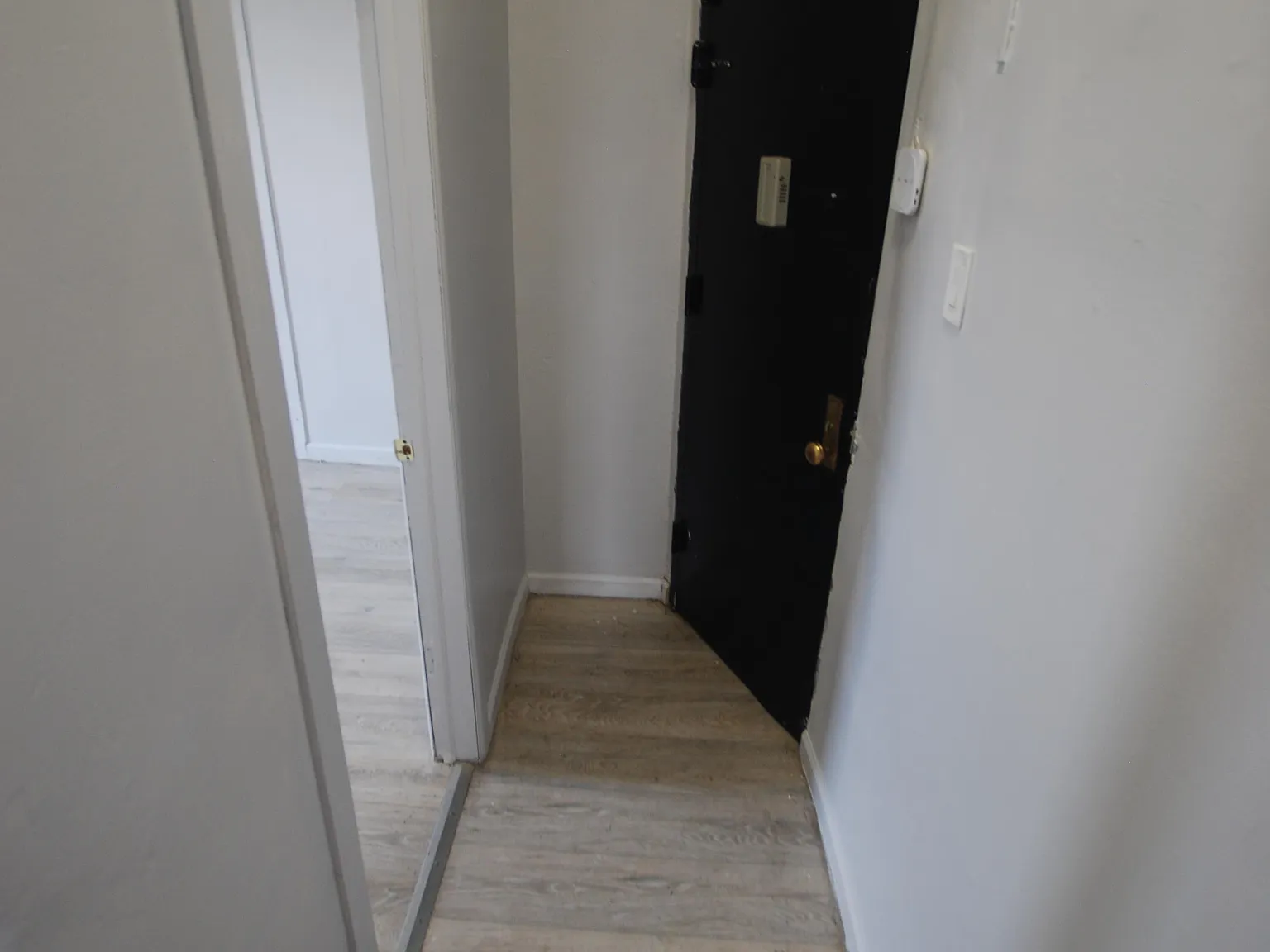 2 bed, 550 sqft, $2,300 — Photo 2