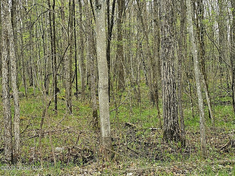 2nd image of L30 Muldowney Road