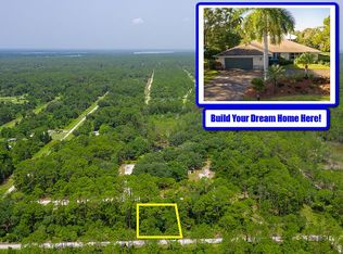 102 Lakeshore Dr, Georgetown, FL 32139