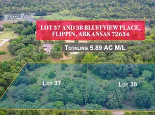 38 Bluffview Dr, Flippin, AR 72634