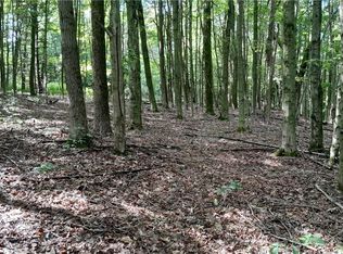 0 Lyons Hollow Rd #40, Prattsburgh, NY 14873