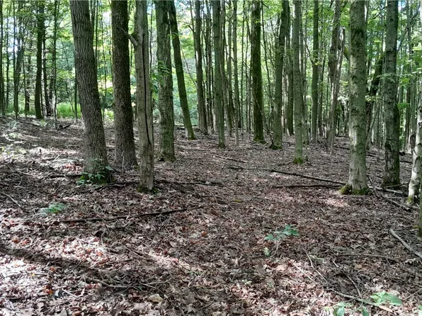 0 Lyons Hollow Rd #40, Prattsburgh, NY 14873