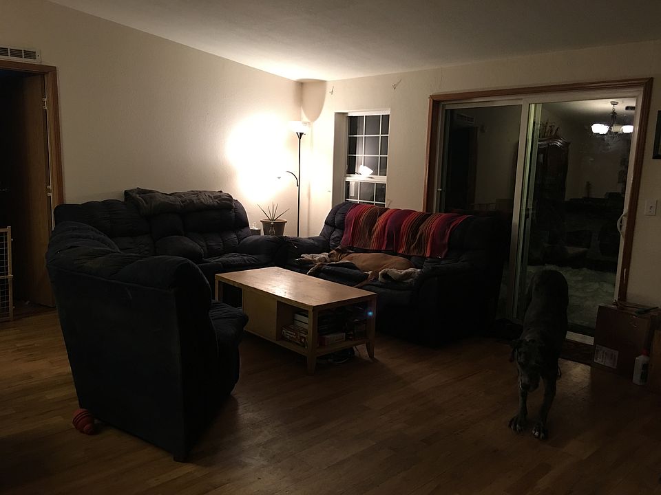 Before window treatments