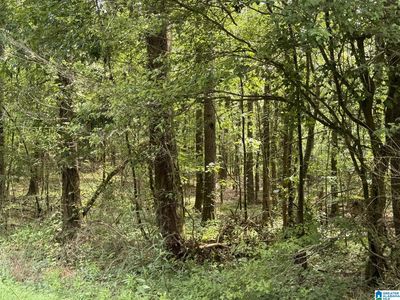 County Road 103 #9.5 ACRES, Woodland, AL, 36280
