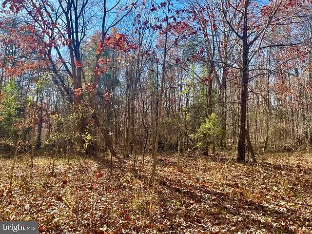 Egypt Bend Rd photo 1