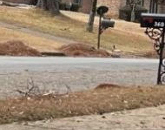 Exterior Neighborhood (street photo)