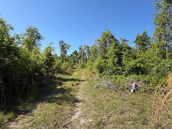 2nd image of 20 217th Rd