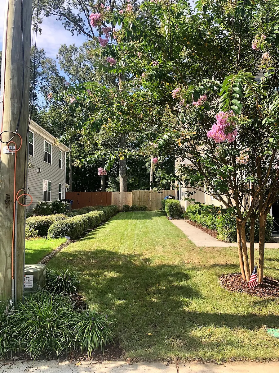 Front yard - 1205 Gunn Hall Dr