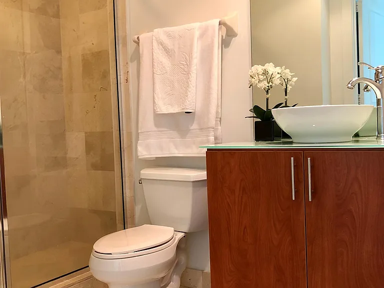 Upgraded Kohler faucet system in a grand walk-in shower. LED medicine cabinet.