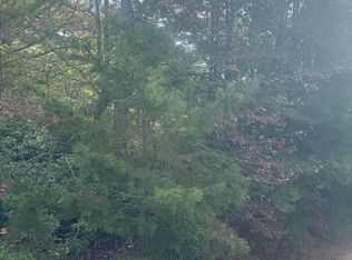 LOT 16 Brown Hawk Dr, Clayton, GA 30525