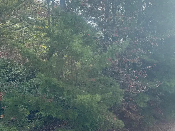 LOT 16 Brown Hawk Dr, Clayton, GA 30525