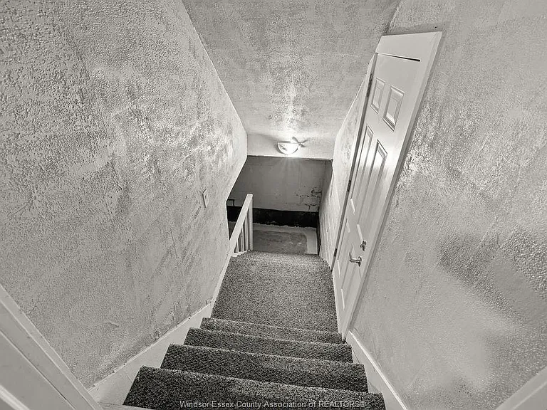 541 Moy Ave — Photo 19