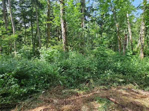 0 xxxb Dove Drive, Camano Island, WA 98282