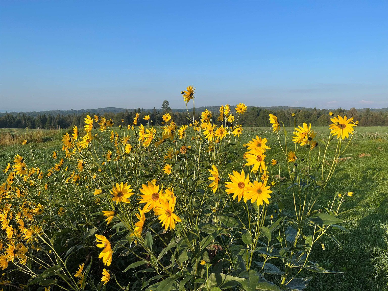 198 Taylor Road, Greensboro Bend, VT 05842 MLS 4991781 Zillow