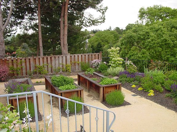 Raised Planting Beds from Kitchen