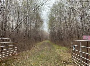 13037 S Flat Lake Rd, Gordon, WI 54838