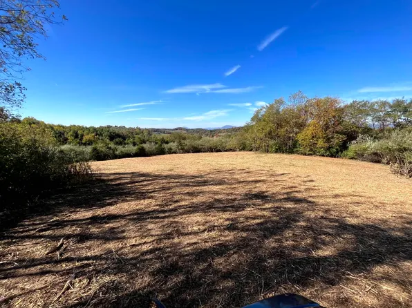 Tbd Merrick Ln, Raphine, VA 24472