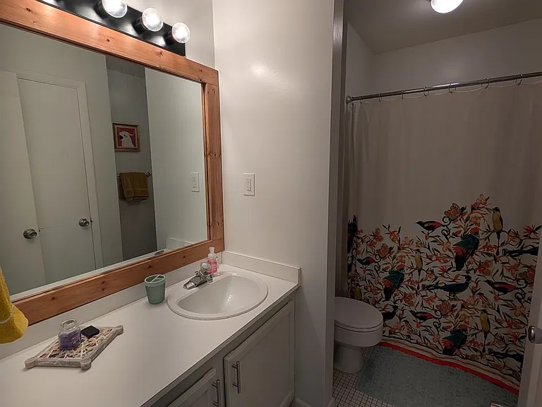 Upstairs hallway bathroom
