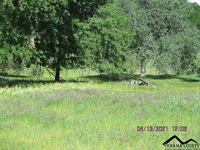 2nd image of 20885 Lopeman Dr