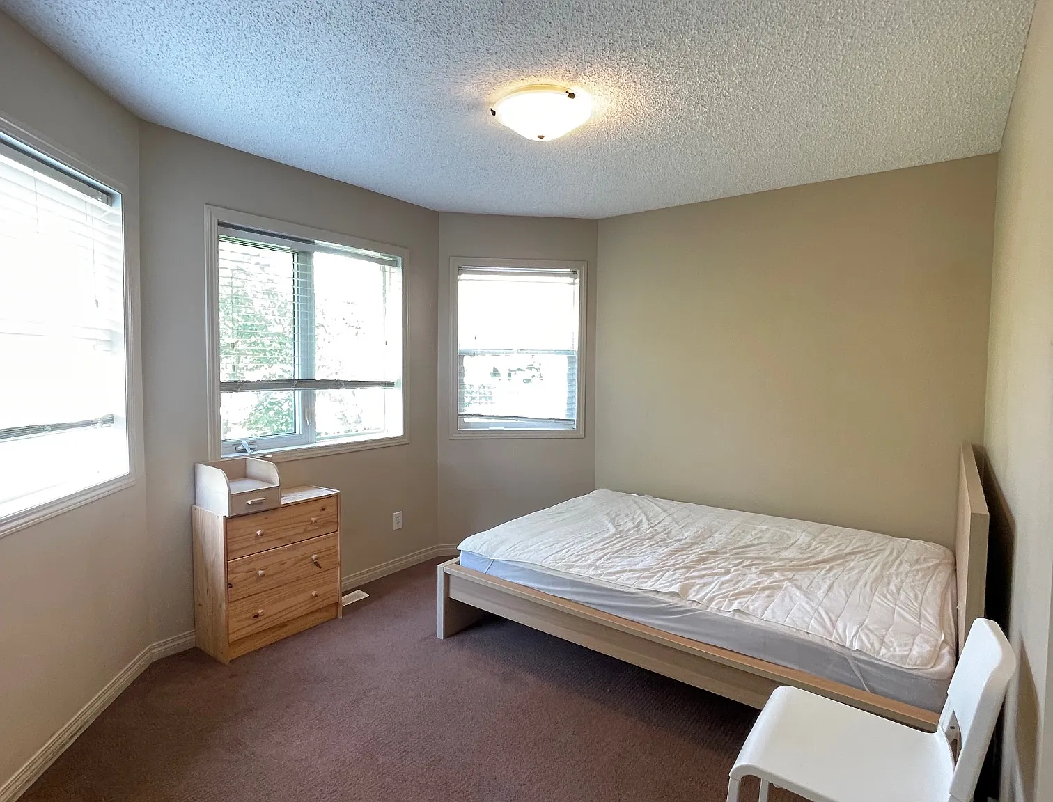 11438 76 Ave NW, Edmonton, AB — Photo 3