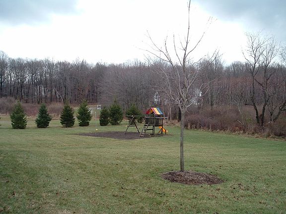 REAR YARD