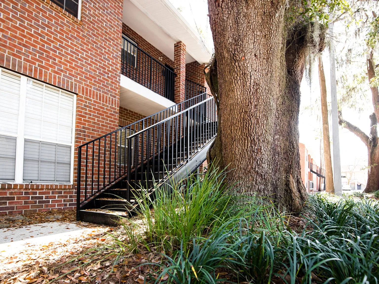 Ansley Terrace — Photo 3