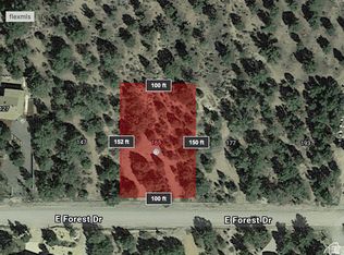 165 E Forest Dr, Central, UT 84722